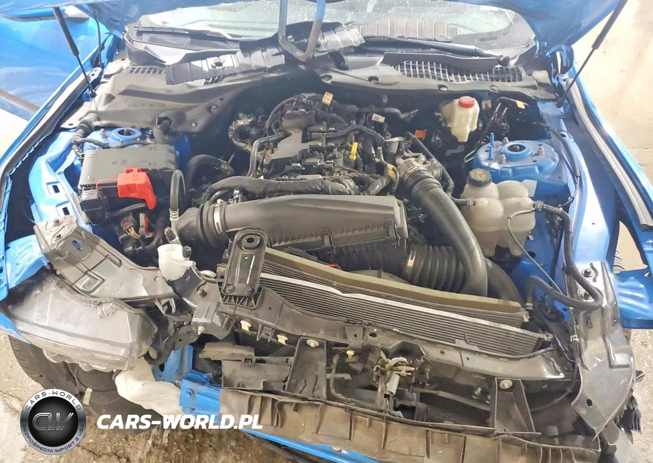 2024 Ford Mustang VIN:1FA6P8TH8R5114467 - 11