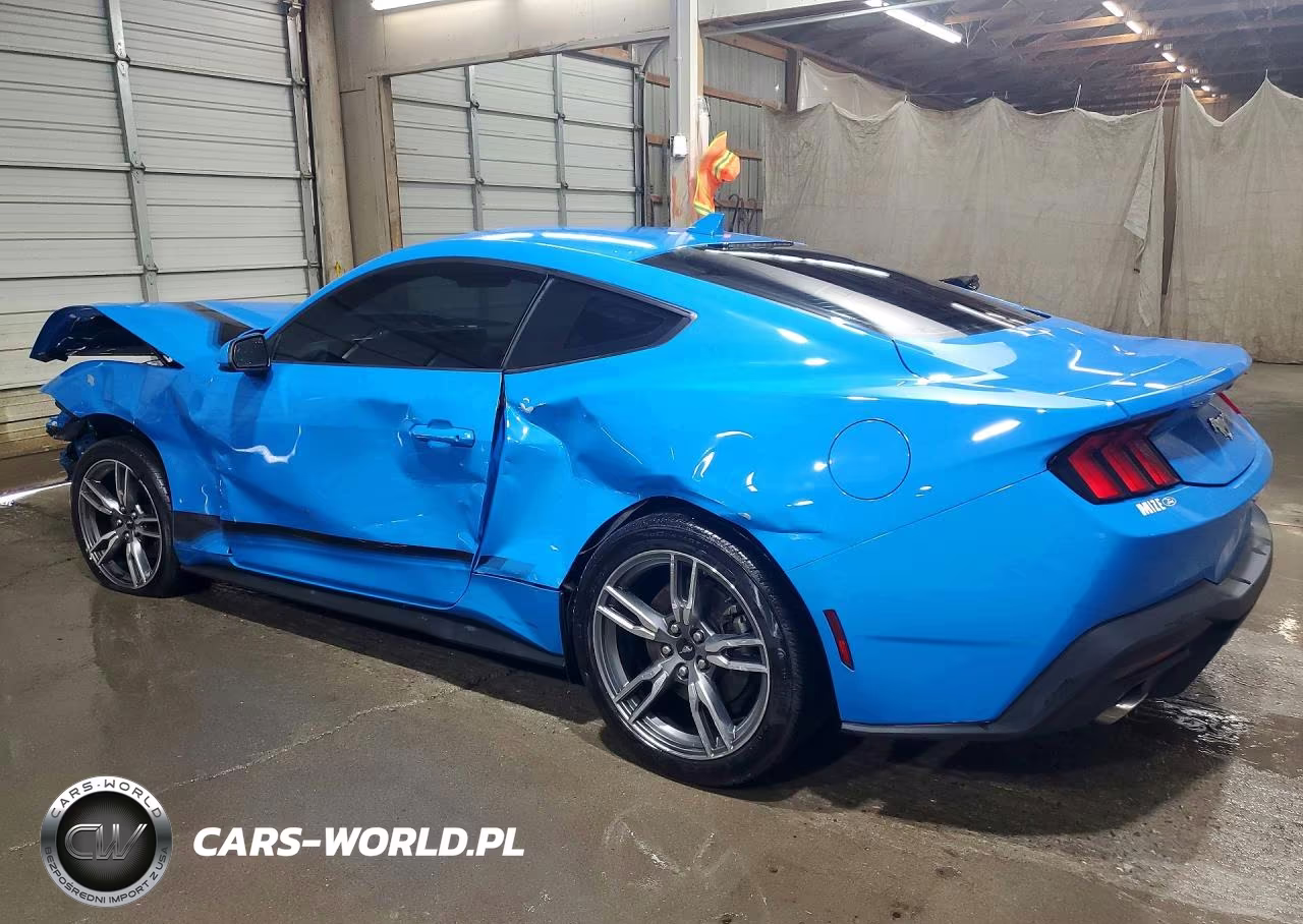 2024 Ford Mustang VIN:1FA6P8TH8R5114467 - 2