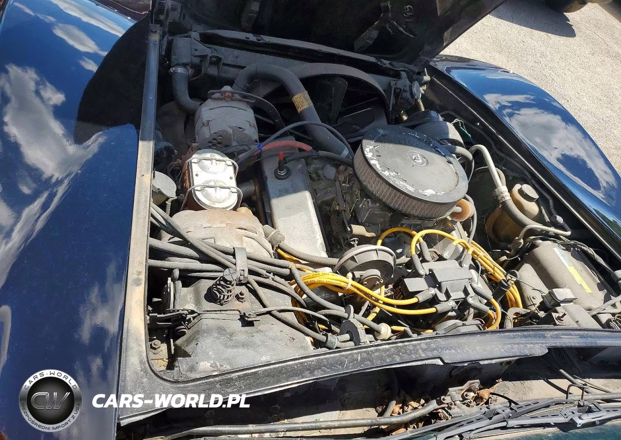 1980 Chevrolet Corvette VIN:1Z876AS433561 - 11