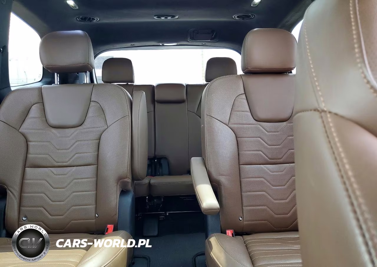 2022 Kia Telluride Sx VIN:5XYP5DHC8NG194106 - 10