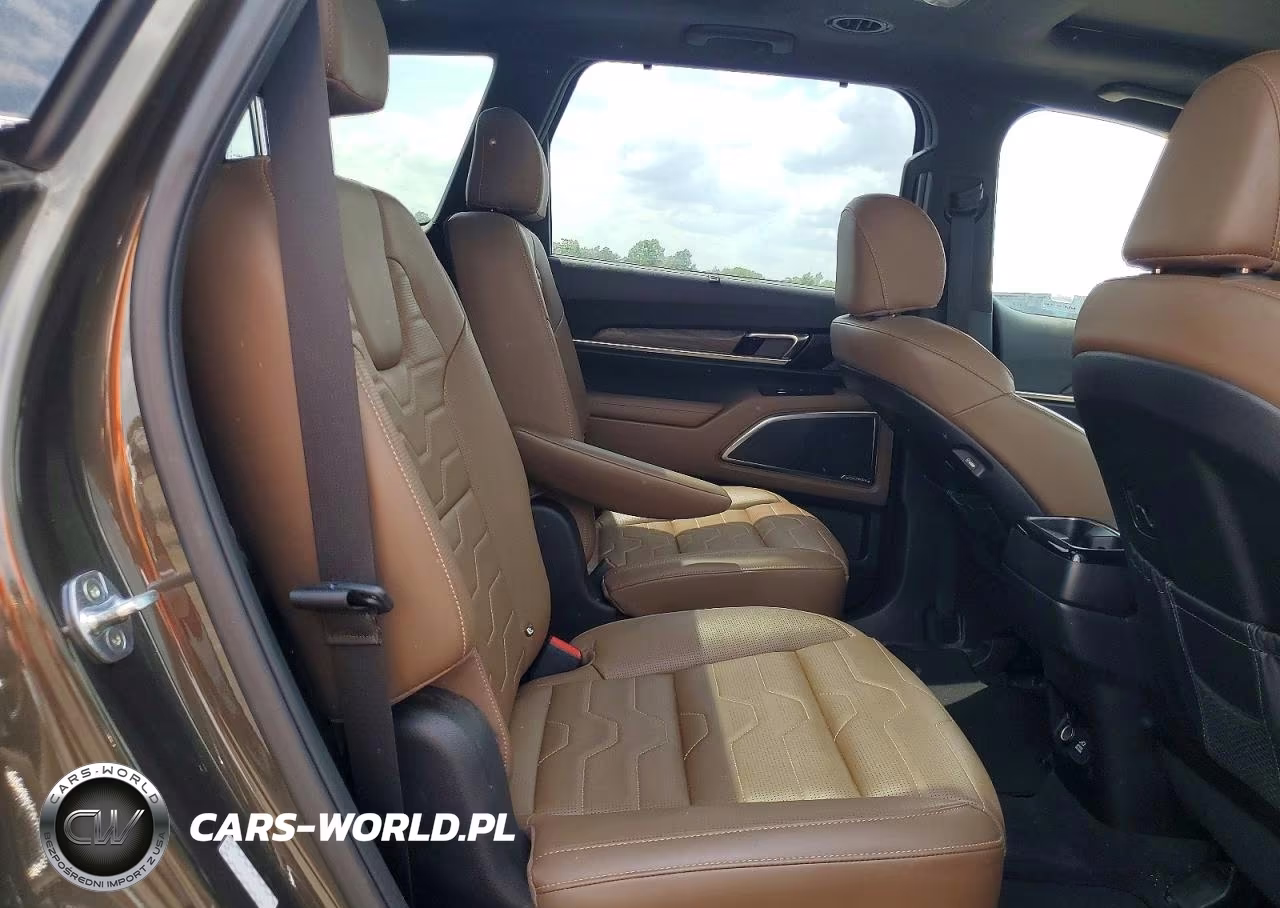 2022 Kia Telluride Sx VIN:5XYP5DHC8NG194106 - 11