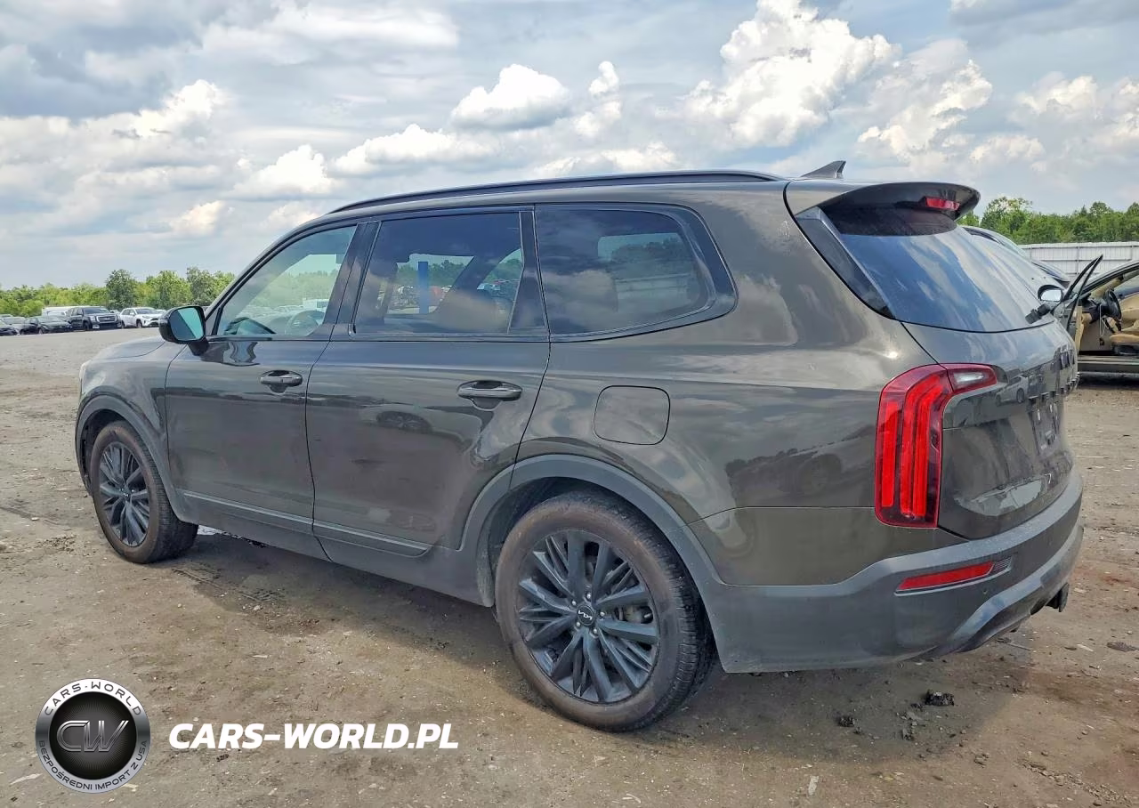 2022 Kia Telluride Sx VIN:5XYP5DHC8NG194106 - 2