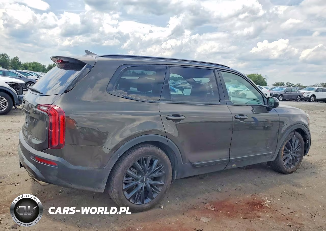 2022 Kia Telluride Sx VIN:5XYP5DHC8NG194106 - 3