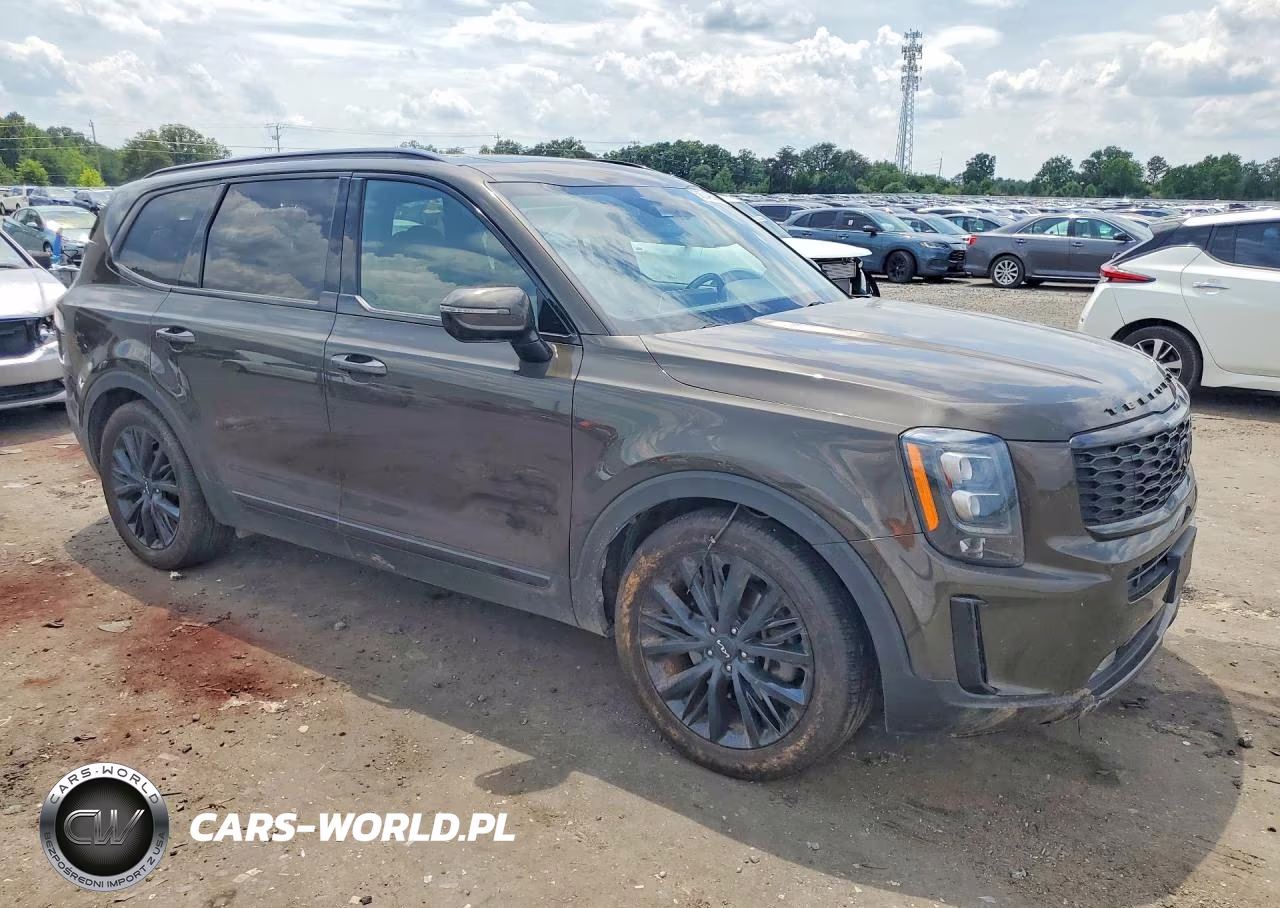2022 Kia Telluride Sx VIN:5XYP5DHC8NG194106 - 4