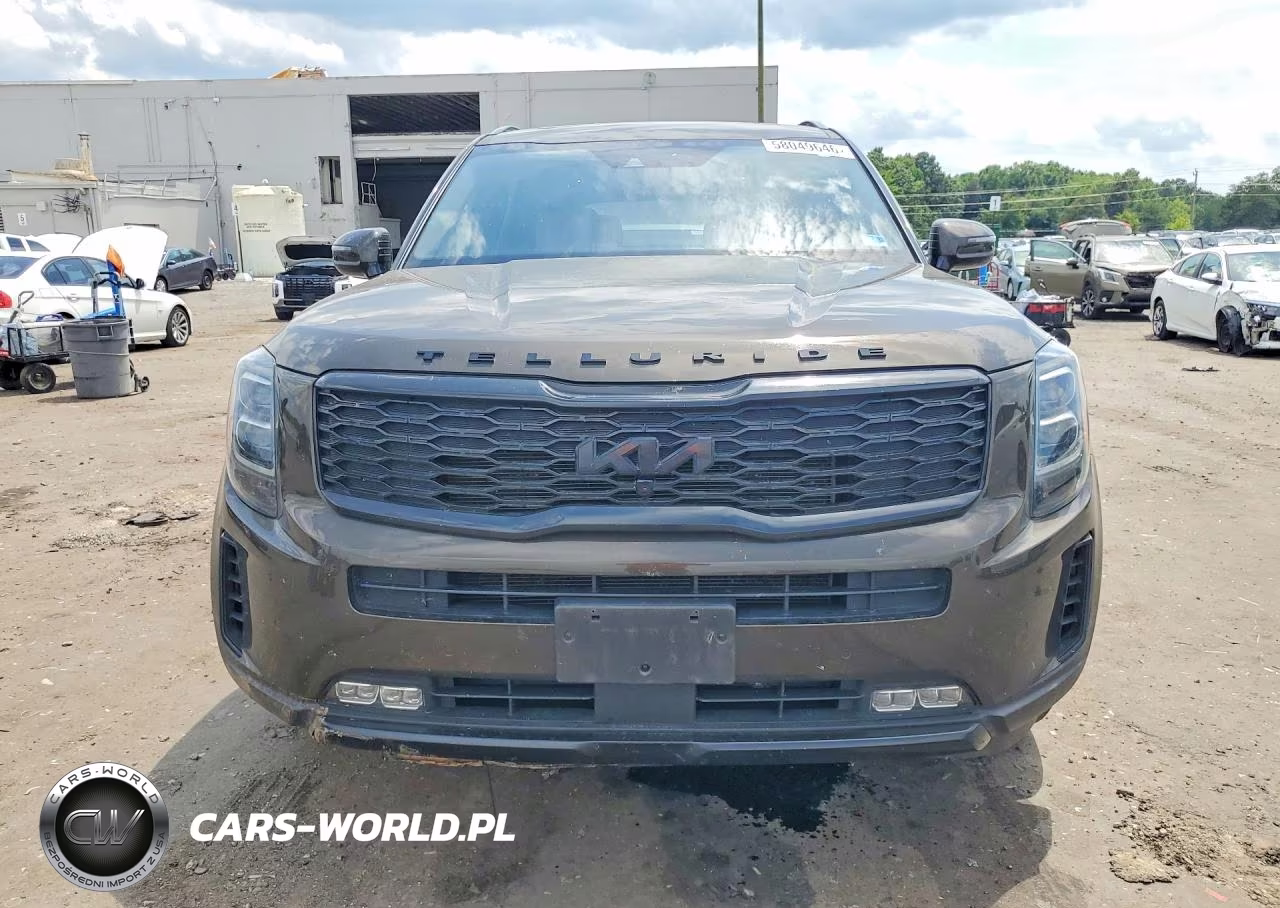 2022 Kia Telluride Sx VIN:5XYP5DHC8NG194106 - 5
