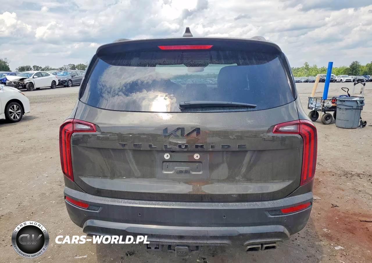 2022 Kia Telluride Sx VIN:5XYP5DHC8NG194106 - 6