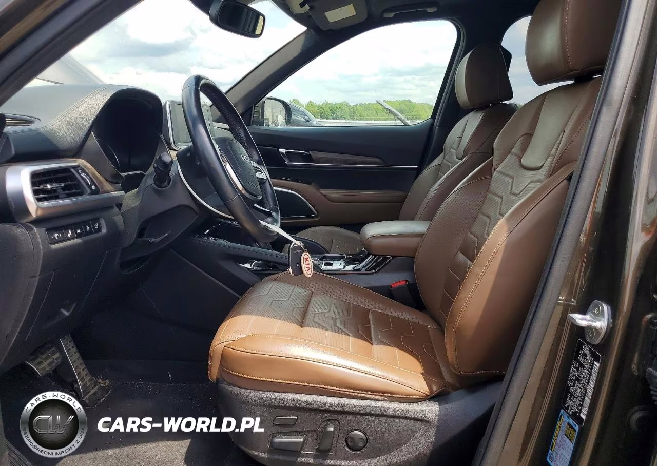 2022 Kia Telluride Sx VIN:5XYP5DHC8NG194106 - 7