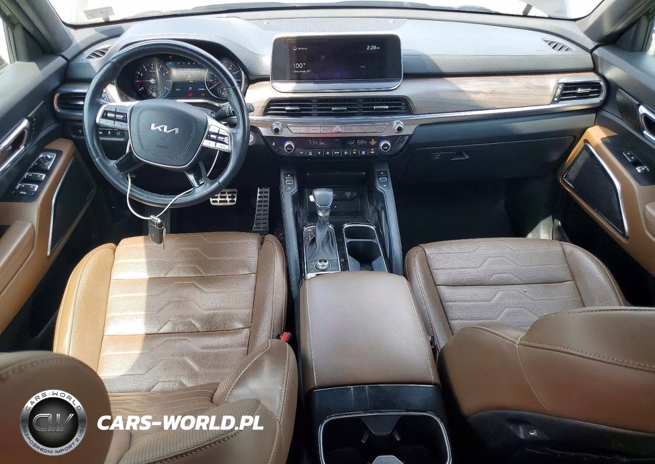 2022 Kia Telluride Sx VIN:5XYP5DHC8NG194106 - 8
