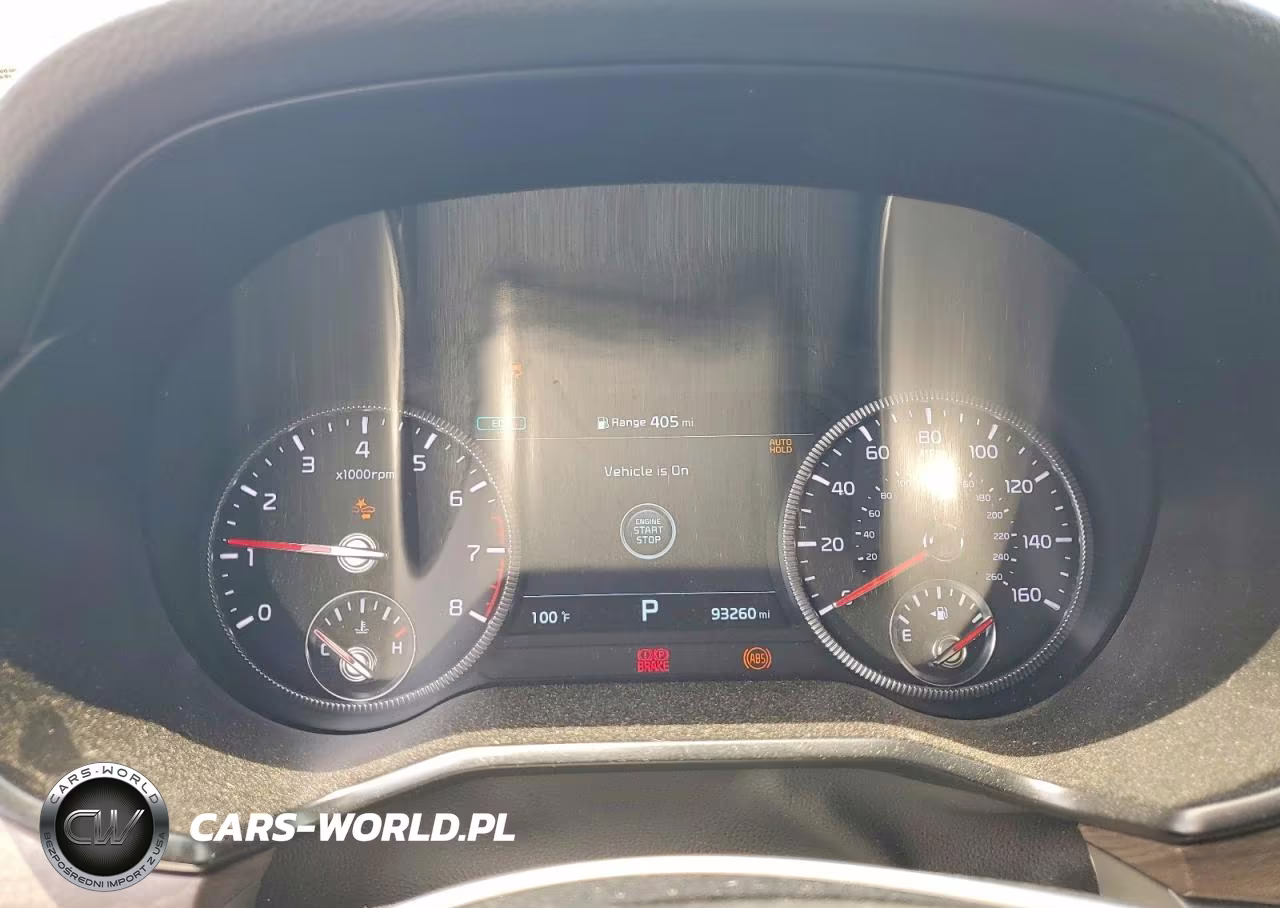 2022 Kia Telluride Sx VIN:5XYP5DHC8NG194106 - 9