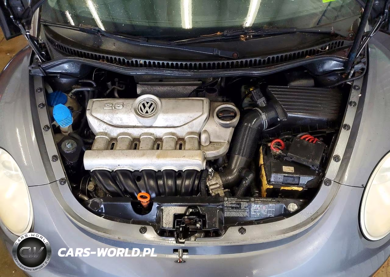 2006 Volkswagen New Beetle Convertible VIN:3VWPG31Y36M333487 - 11