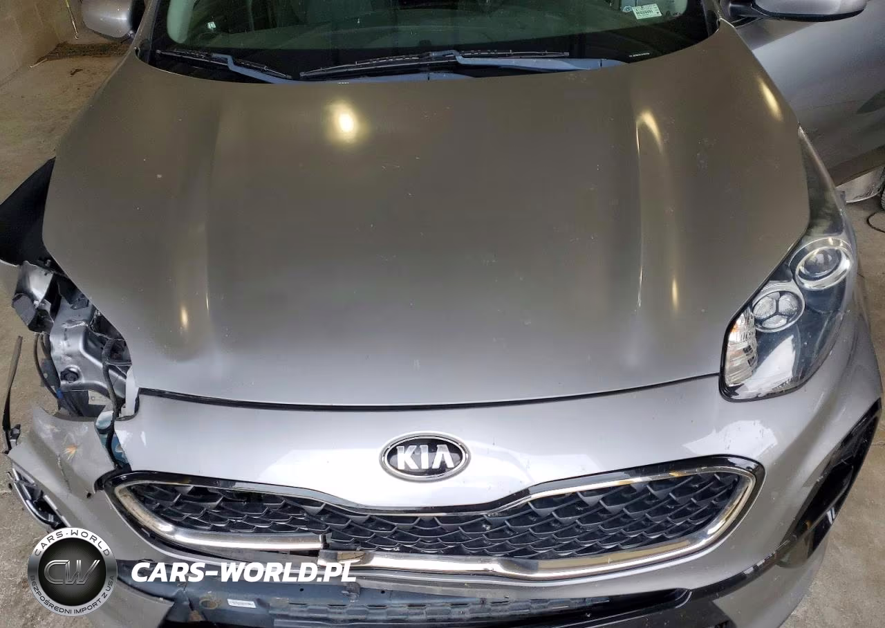 2020 Kia Sportage Lx VIN:KNDPM3ACXL7687044 - 12
