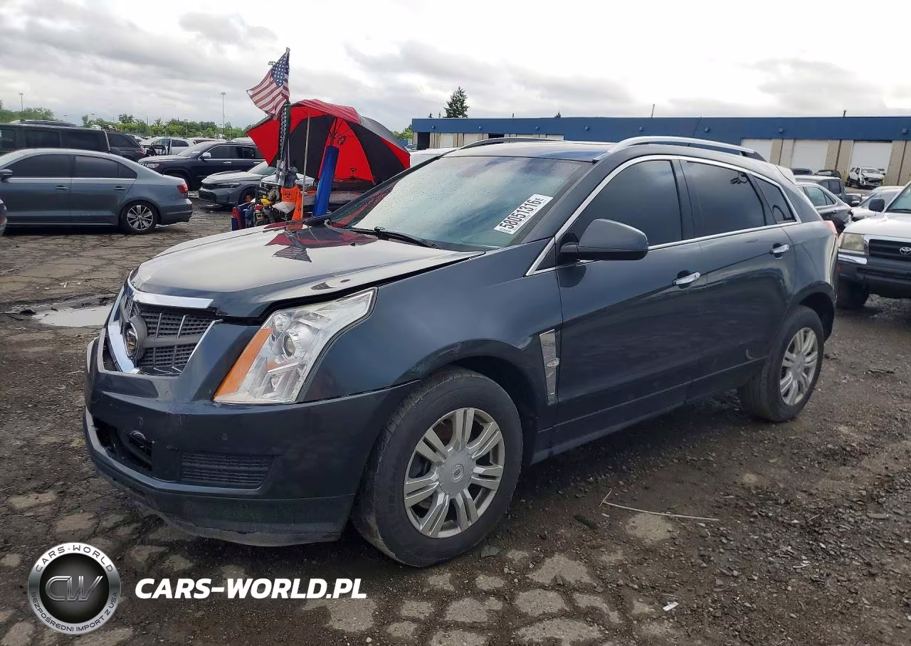 2011 Cadillac Srx Luxury Collection VIN:3GYFNDEYXBS528474 - 1