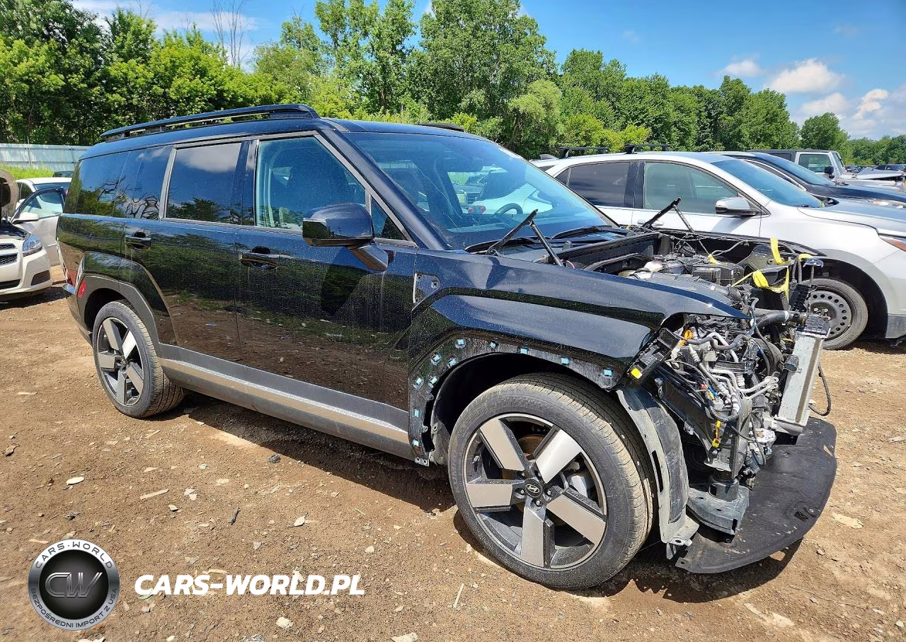 2025 Hyundai Santa Fe Limited VIN:5NMP4DGL1SH128079 - 4