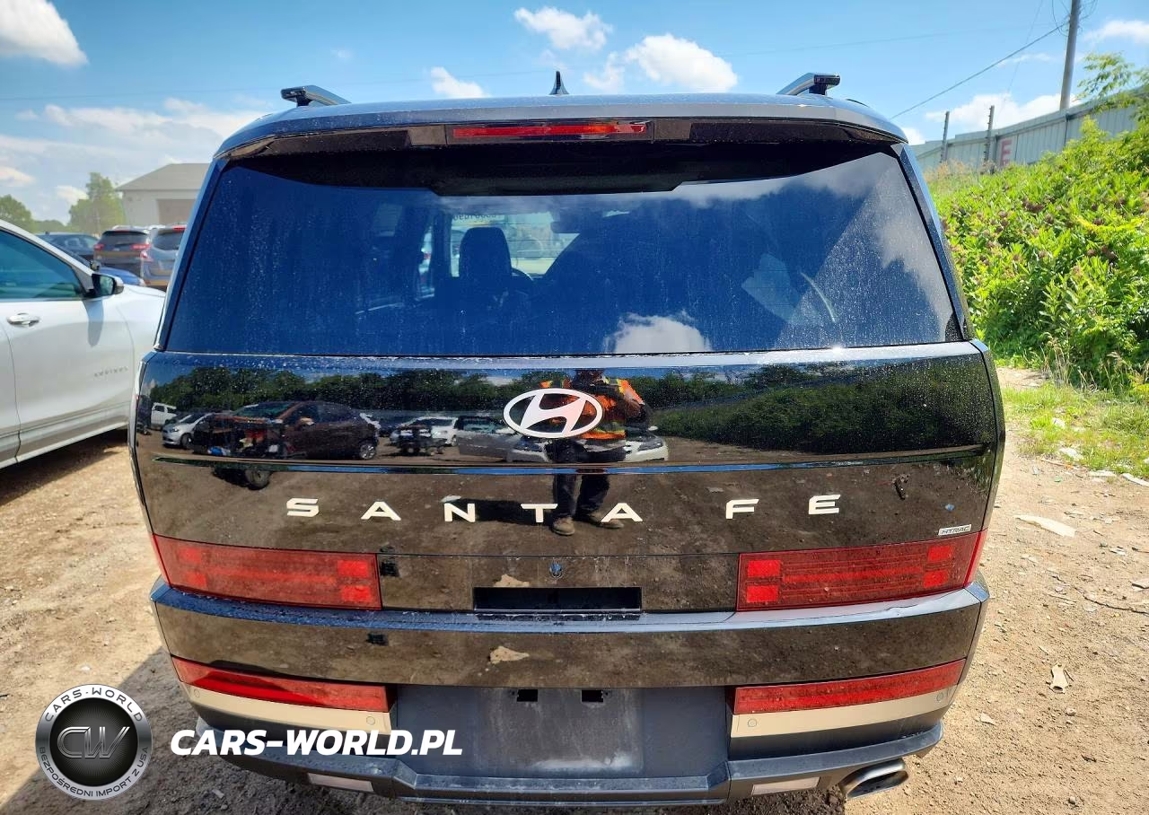 2025 Hyundai Santa Fe Limited VIN:5NMP4DGL1SH128079 - 6