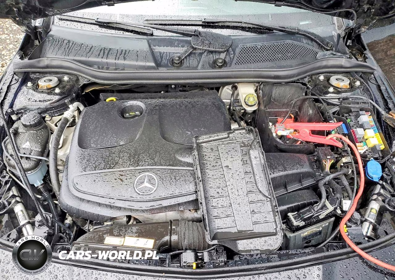 2014 Mercedes-Benz Cla 250 VIN:WDDSJ4EB5EN125695 - 11