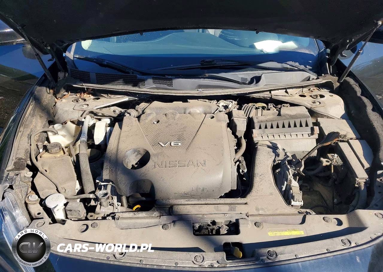 2016 Nissan Maxima VIN:1N4AA6AP8GC906007 - 11