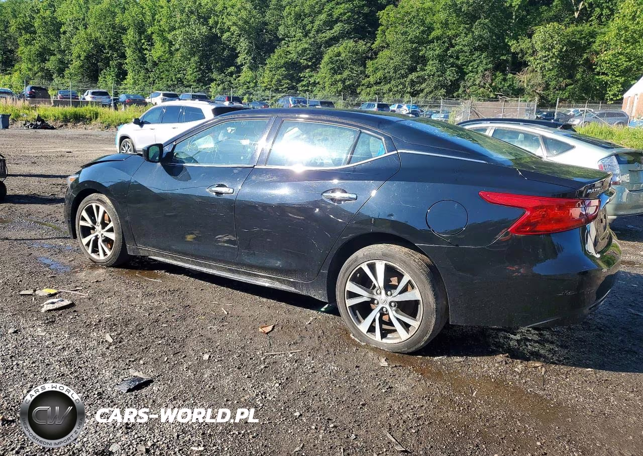 2016 Nissan Maxima VIN:1N4AA6AP8GC906007 - 2