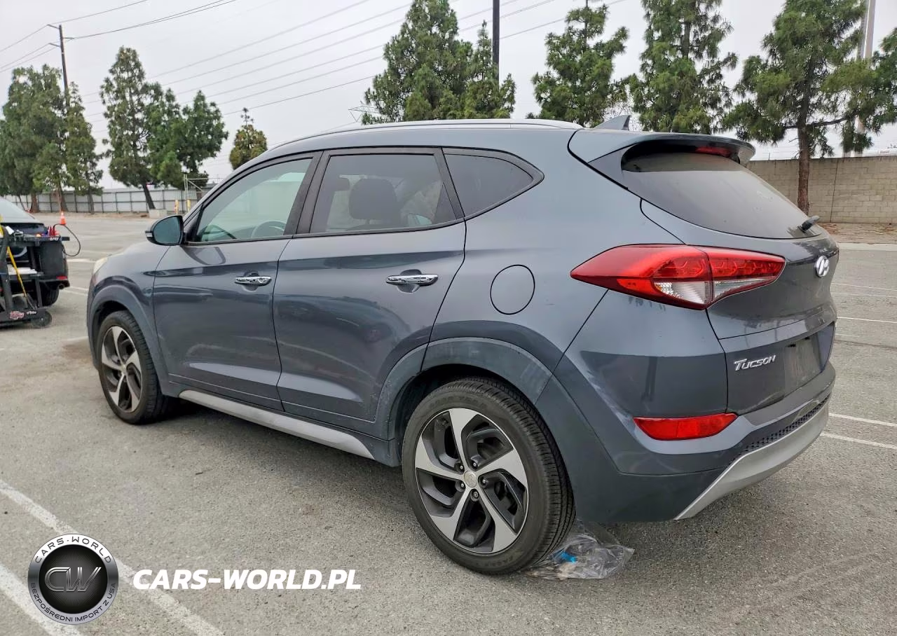 2017 Hyundai Tucson Limited VIN:KM8J33A29HU413953 - 2