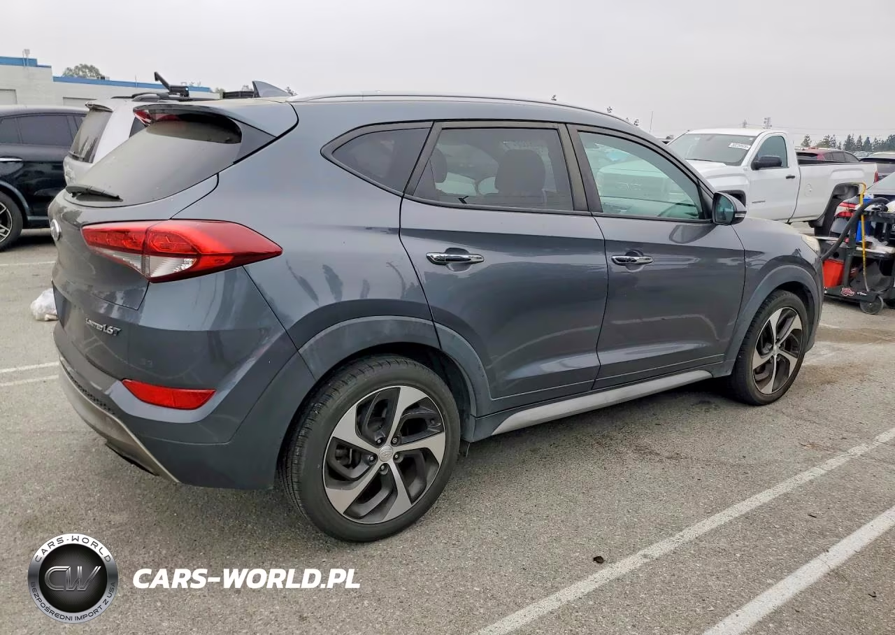 2017 Hyundai Tucson Limited VIN:KM8J33A29HU413953 - 3
