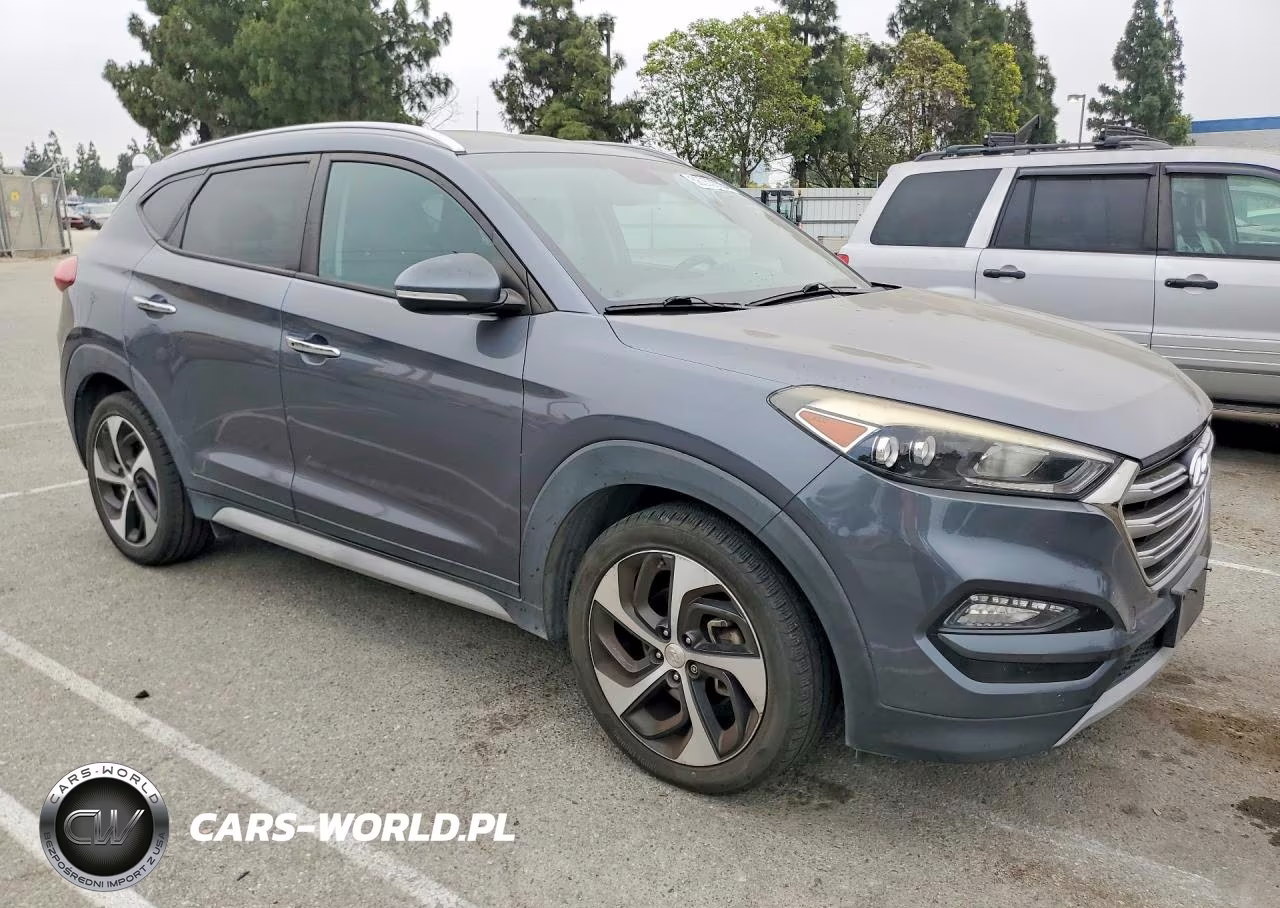 2017 Hyundai Tucson Limited VIN:KM8J33A29HU413953 - 4