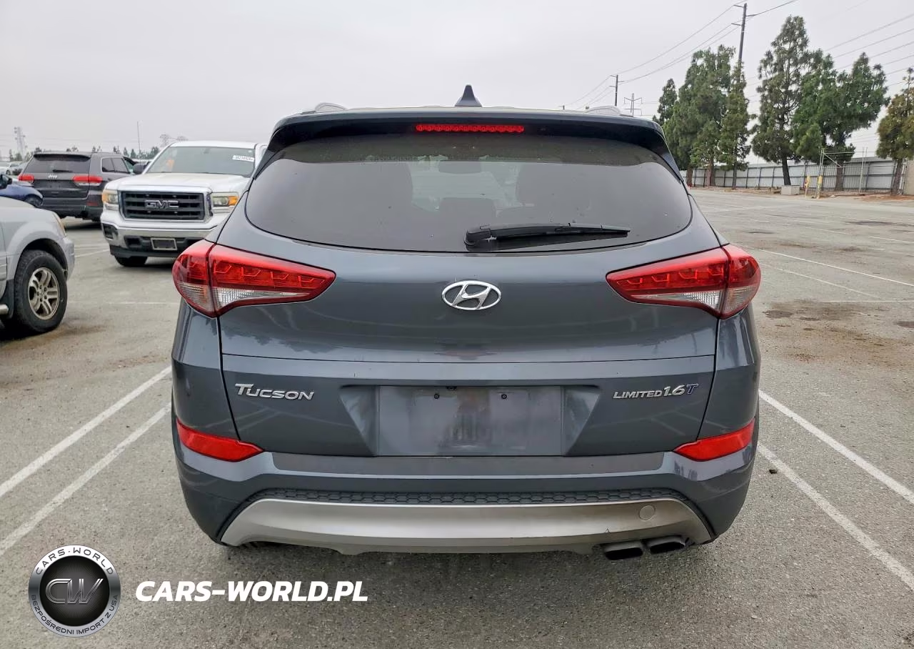 2017 Hyundai Tucson Limited VIN:KM8J33A29HU413953 - 6