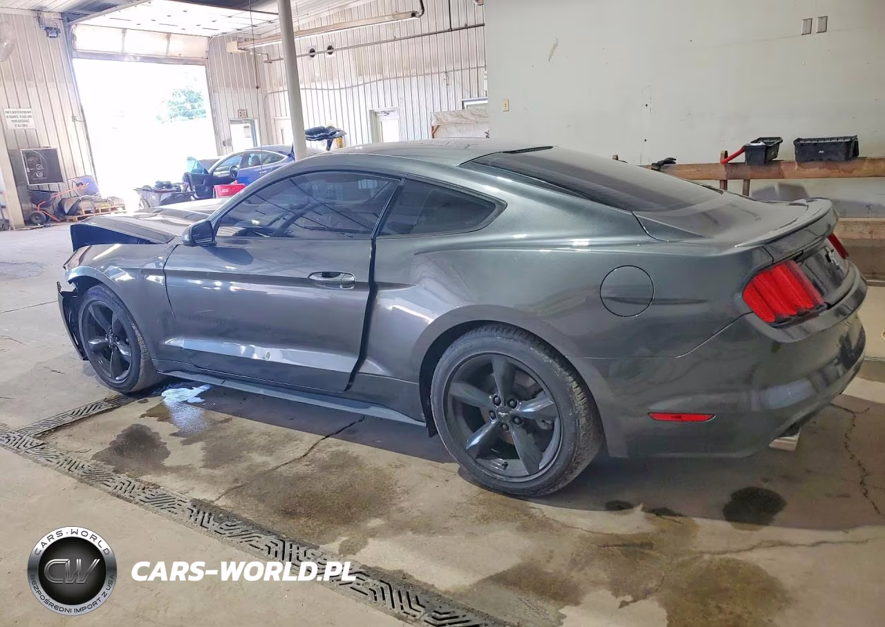 2016 Ford Mustang VIN:1FA6P8AMXG5263816 - 2