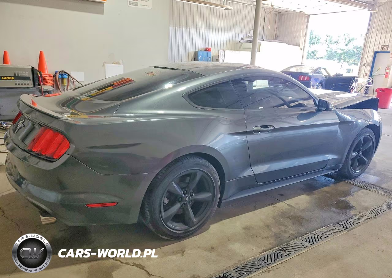 2016 Ford Mustang VIN:1FA6P8AMXG5263816 - 3