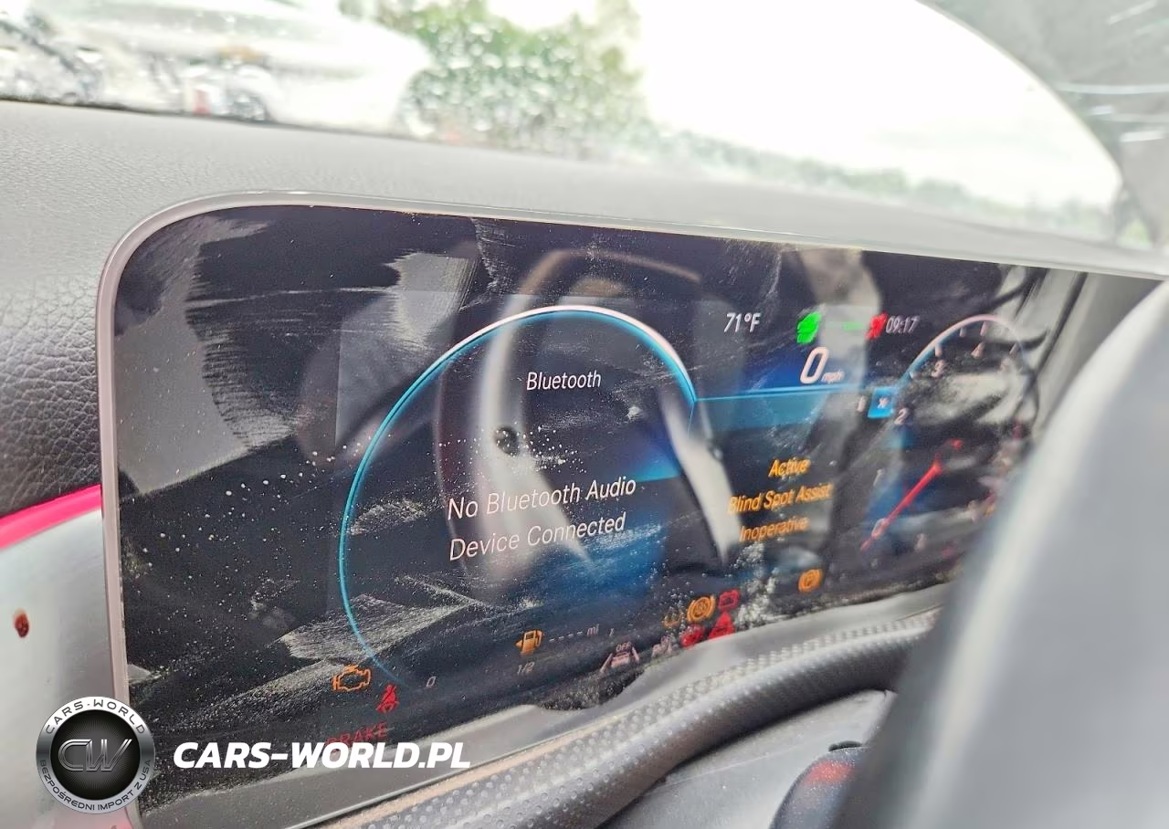 2019 Mercedes-Benz A 220 4Matic VIN:WDD3G4FB7KW000530 - 9