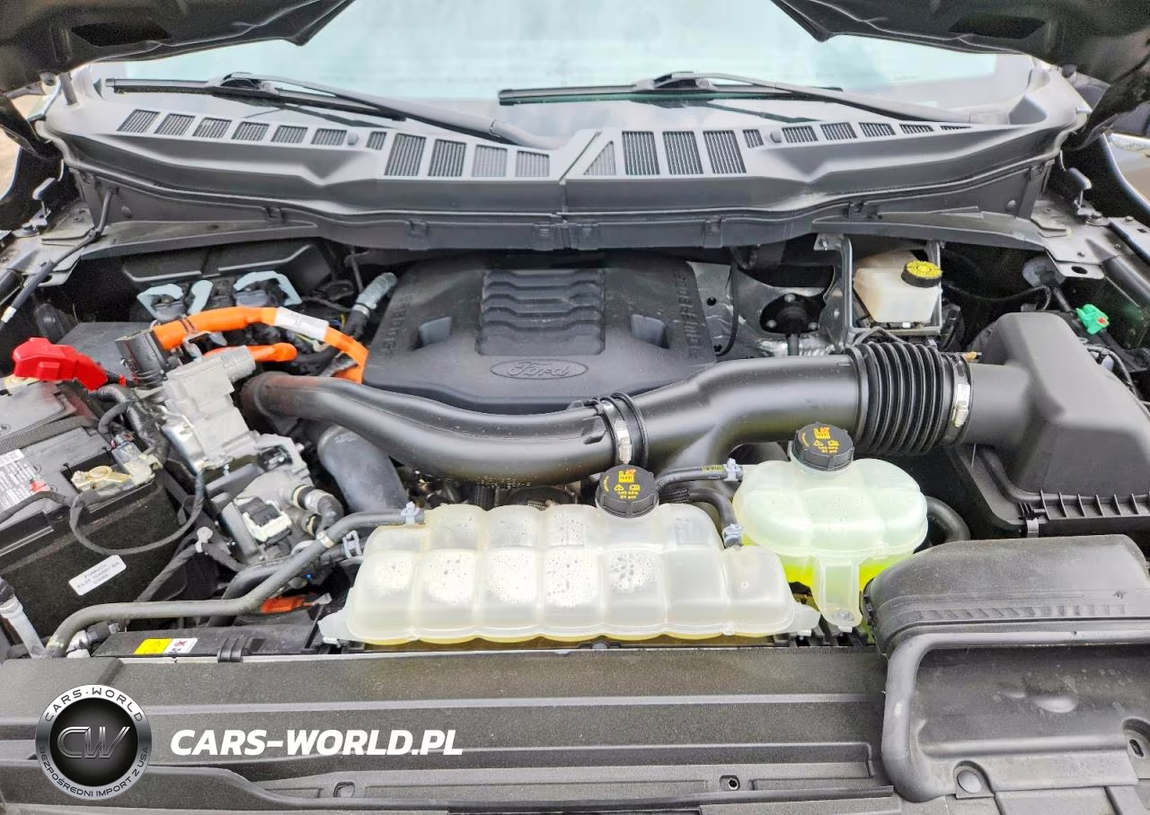 2023 Ford F150 Supercrew VIN:1FTFW1ED3PFC46302 - 11
