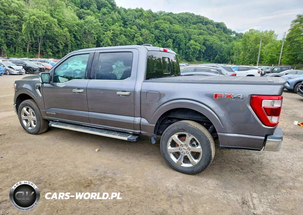2023 Ford F150 Supercrew VIN:1FTFW1ED3PFC46302 - 2