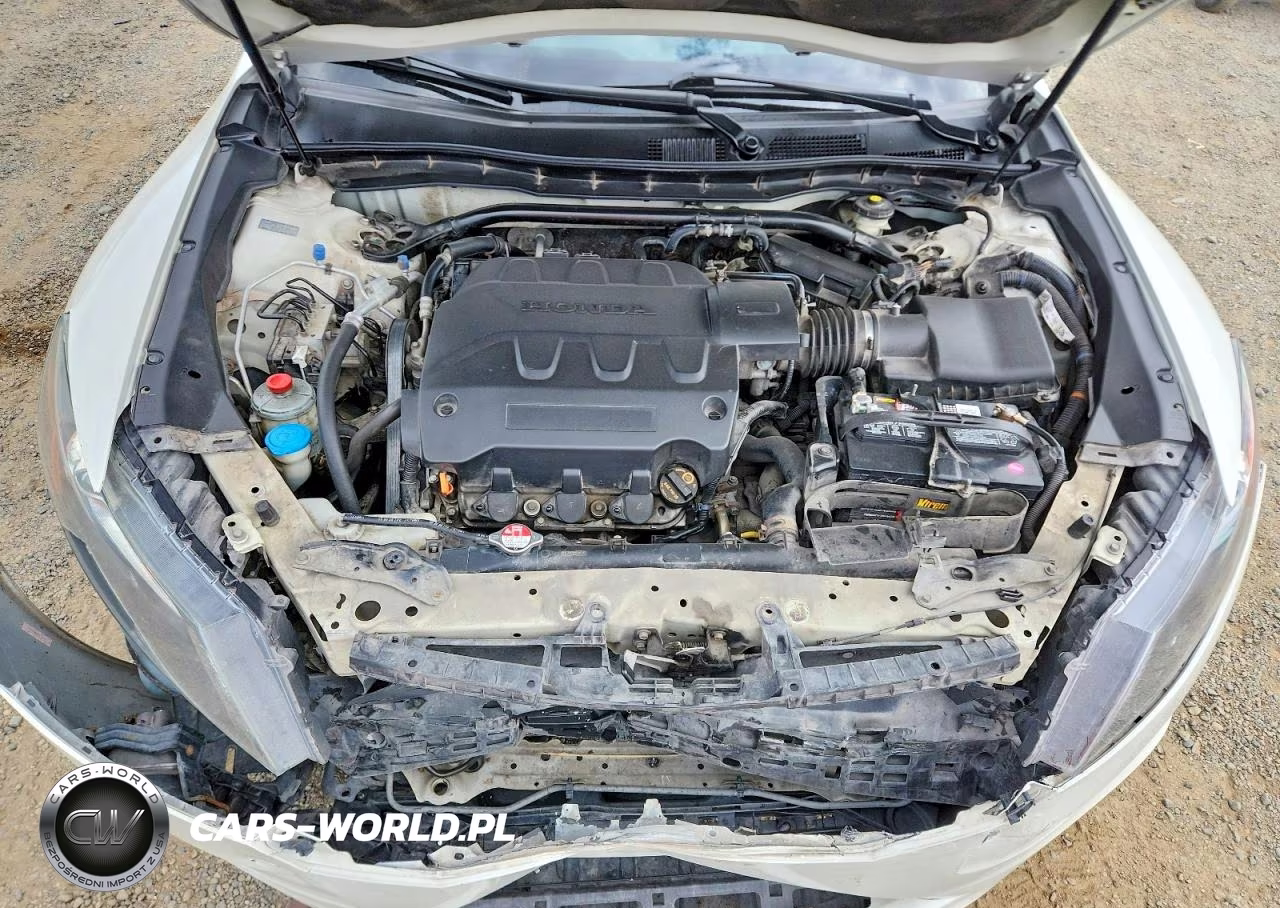 2010 Honda Accord Crosstour Exl VIN:5J6TF2H54AL000102 - 12