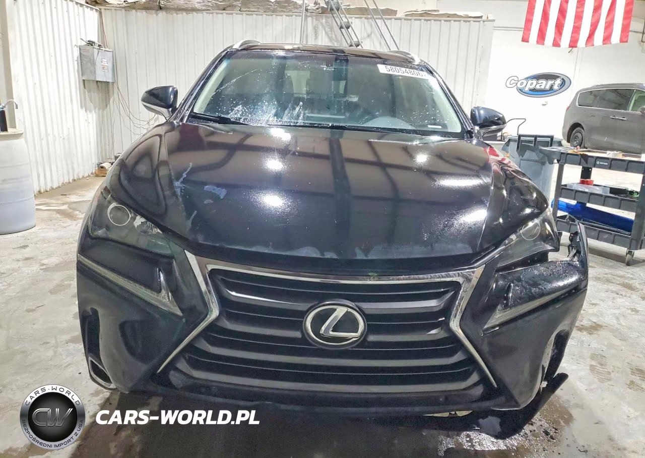2017 Lexus Nx 200T Base VIN:JTJBARBZ5H2121495 - 5