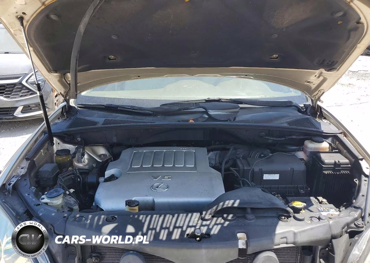 2007 Lexus Rx 350 VIN:JTJGK31U470001350 - 11