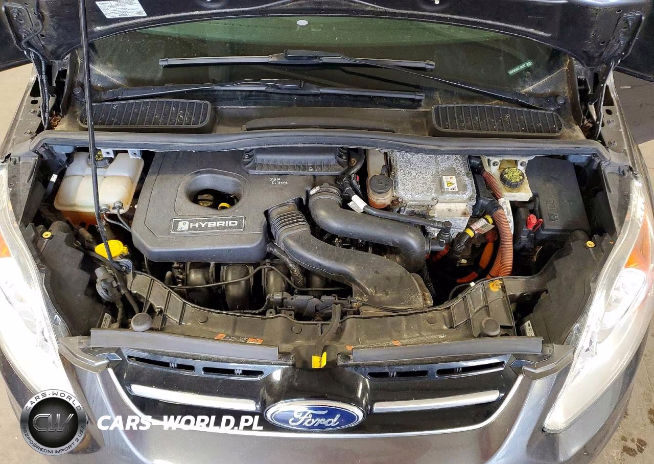 2016 Ford C-Max Sel VIN:1FADP5BU5GL100202 - 12