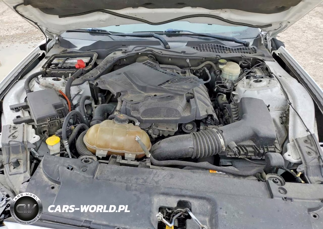 2015 Ford Mustang VIN:1FA6P8TH8F5329861 - 11