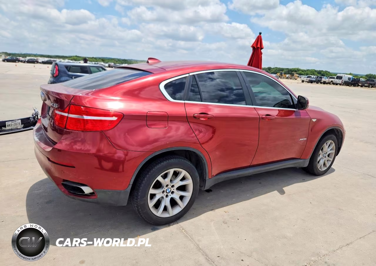 2010 BMW X6 xDrive50I VIN:5UXFG8C59ALZ94335 - 3