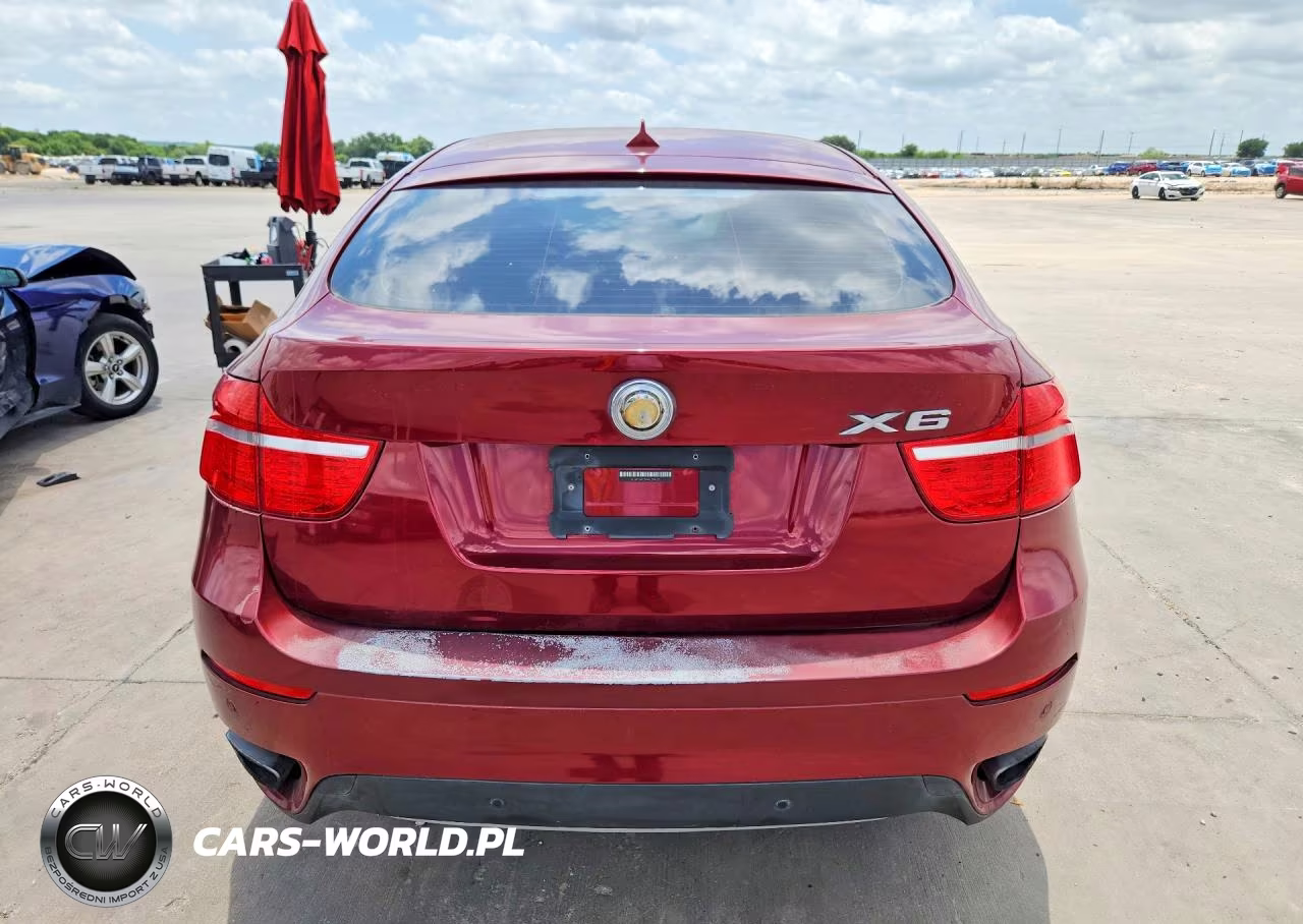 2010 BMW X6 xDrive50I VIN:5UXFG8C59ALZ94335 - 6