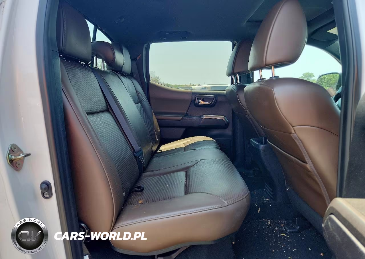2019 Toyota Tacoma Limited VIN:3TMGZ5AN4KM233875 - 10