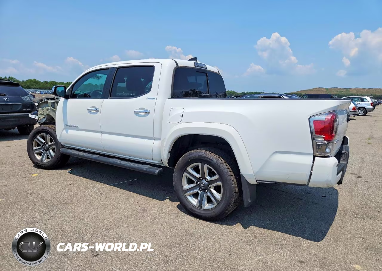 2019 Toyota Tacoma Limited VIN:3TMGZ5AN4KM233875 - 2