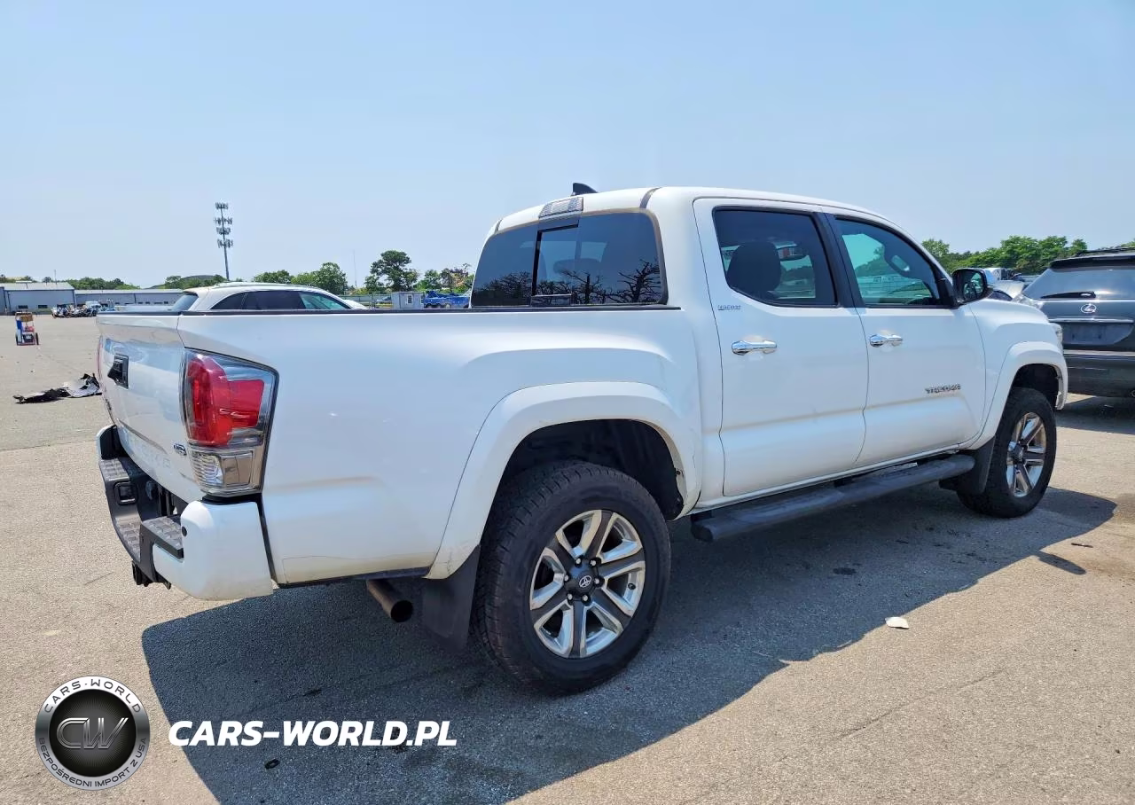2019 Toyota Tacoma Limited VIN:3TMGZ5AN4KM233875 - 3