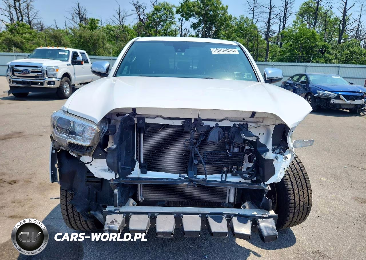 2019 Toyota Tacoma Limited VIN:3TMGZ5AN4KM233875 - 5