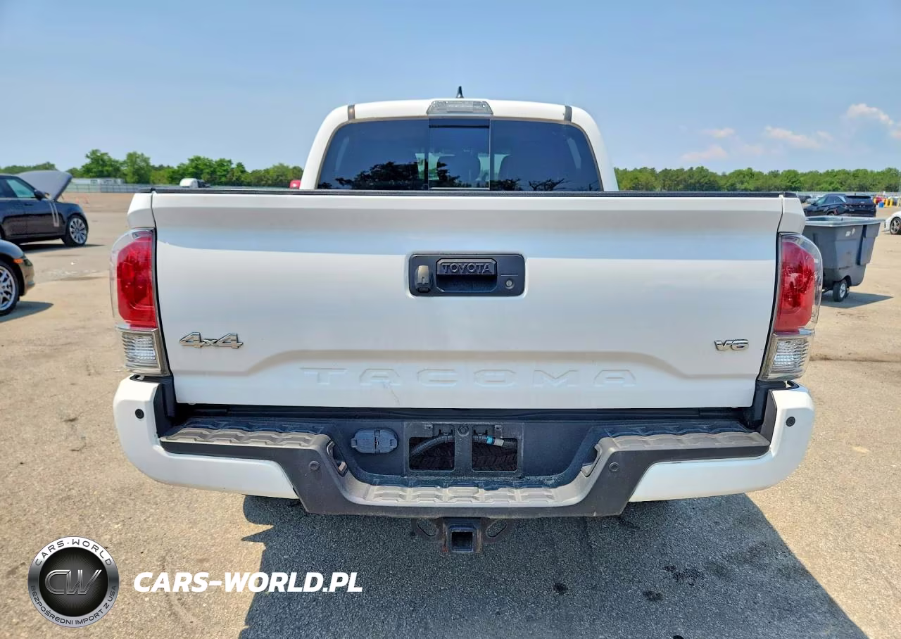 2019 Toyota Tacoma Limited VIN:3TMGZ5AN4KM233875 - 6