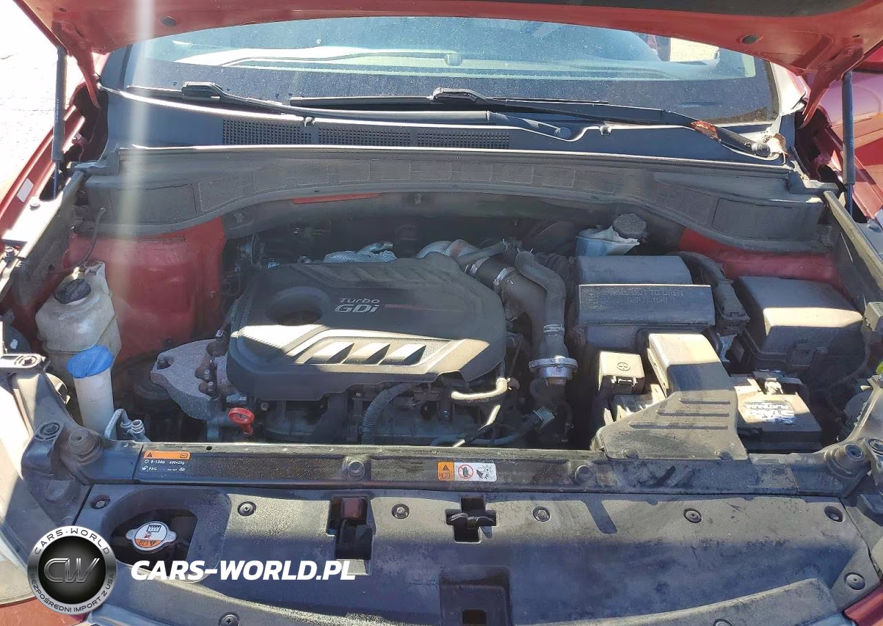 2017 Hyundai Santa Fe Sport 2.0T Ultimate VIN:5XYZW4LA0HG456796 - 12