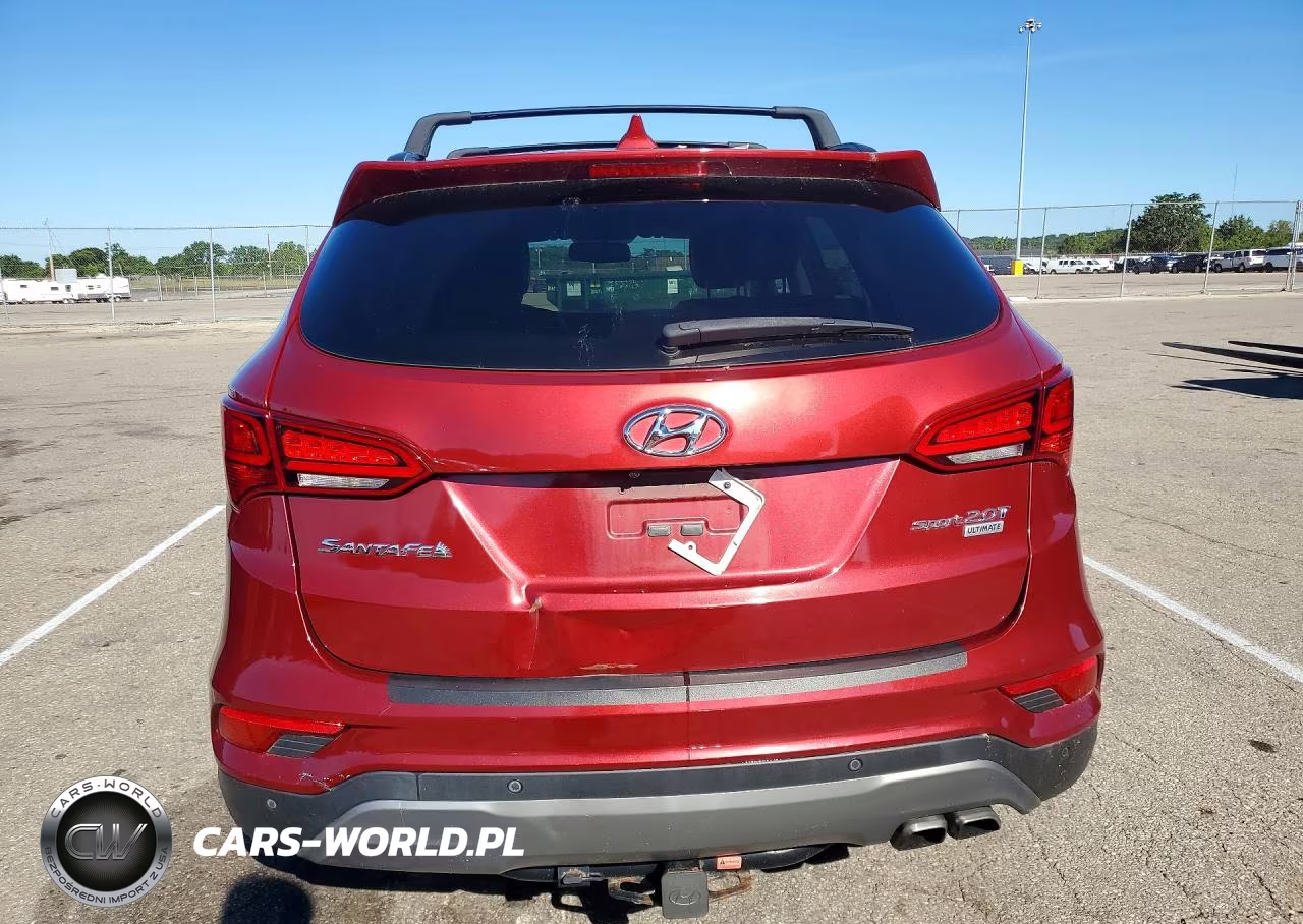 2017 Hyundai Santa Fe Sport 2.0T Ultimate VIN:5XYZW4LA0HG456796 - 6