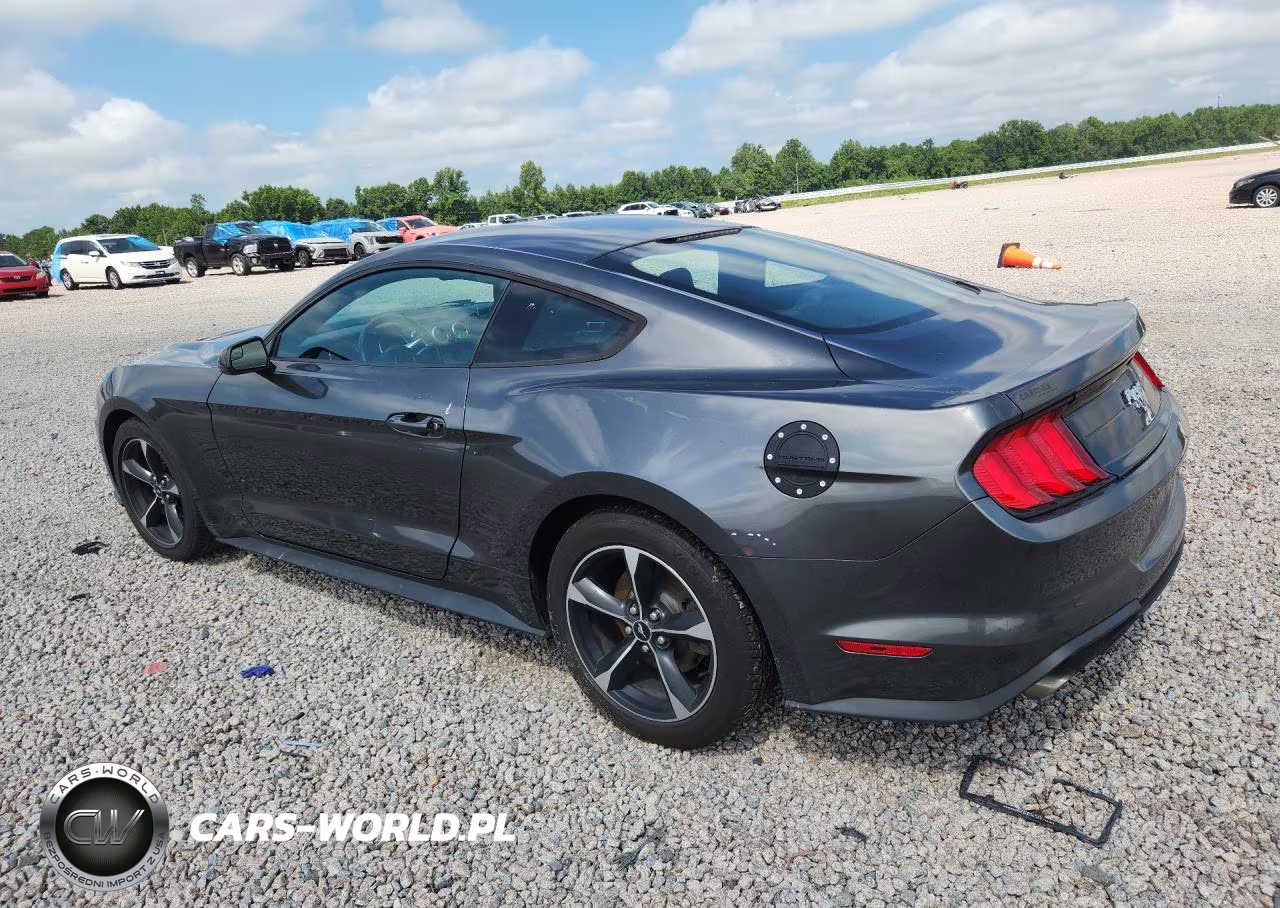 2018 Ford Mustang VIN:1FA6P8TH3J5120889 - 2