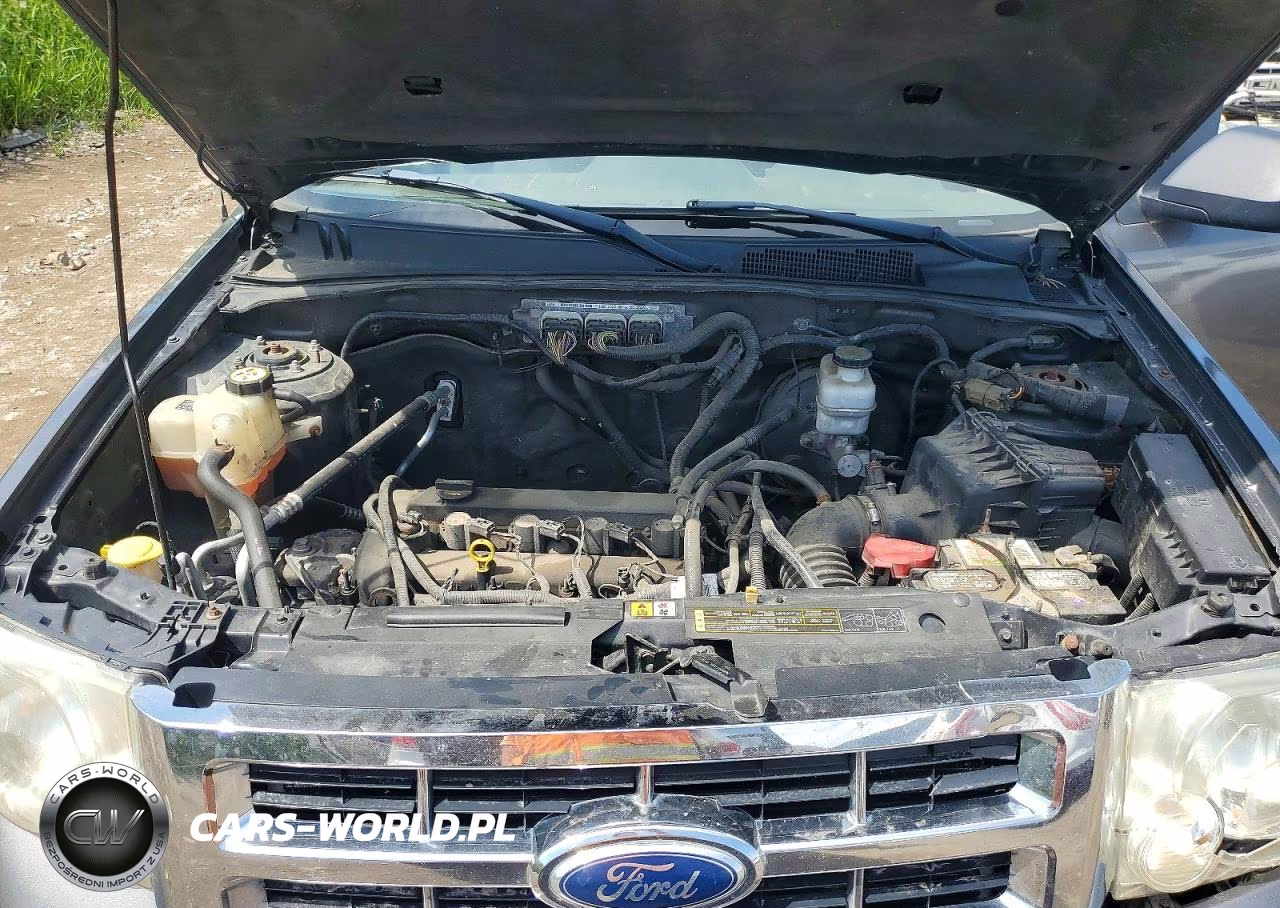 2012 Ford Escape Xlt VIN:1FMCU9D75CKC62338 - 12