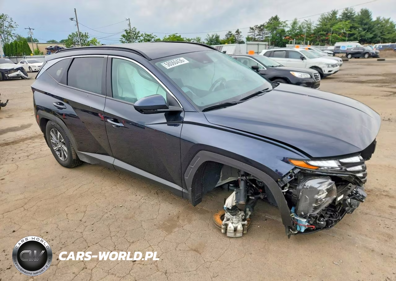 2024 Hyundai Tucson Blue VIN:KM8JBCD11RU222468 - 4