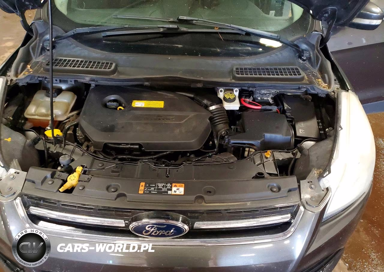 2016 Ford Escape Titanium VIN:1FMCU0JX6GUC38429 - 12