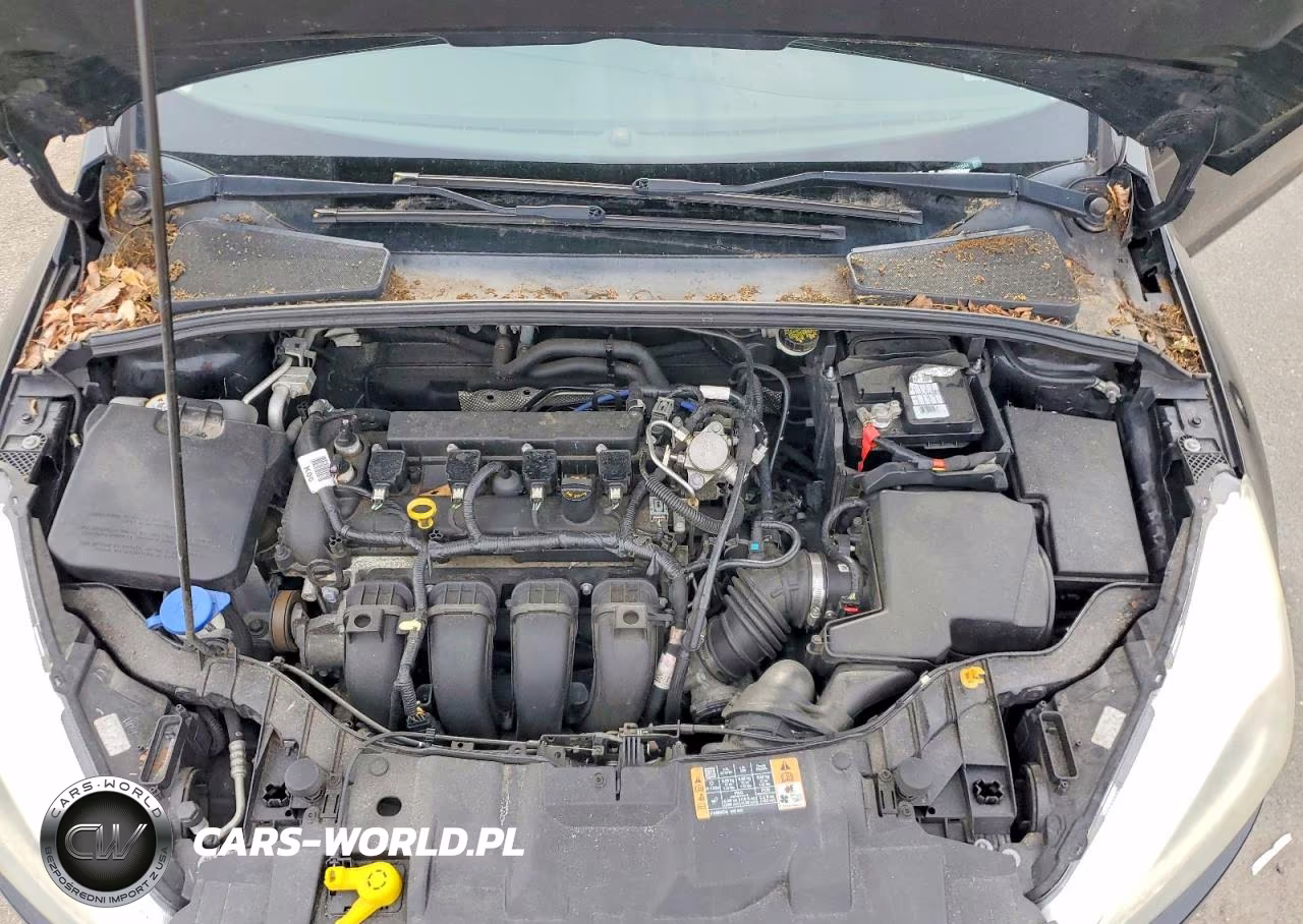 2016 Ford Focus Se VIN:1FADP3F21GL323544 - 11