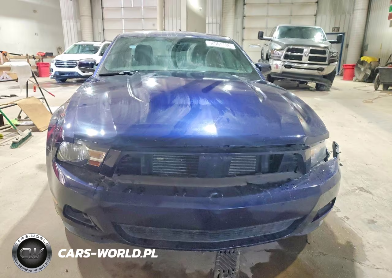 2010 Ford Mustang VIN:1ZVBP8AN1A5124907 - 5
